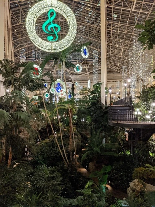 Gaylord Opryland Resort & Convention Center - Desde Walk way, United States