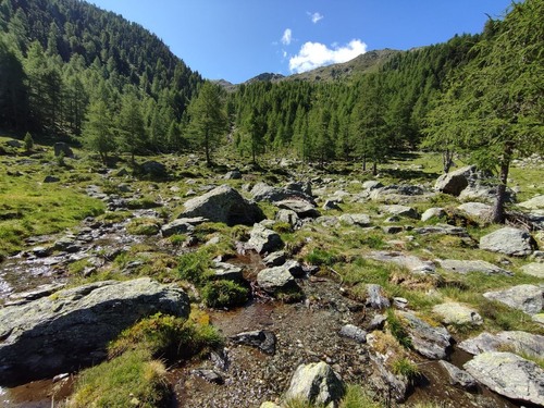 Latsch Inger Alm - Des de Ralf, Italy