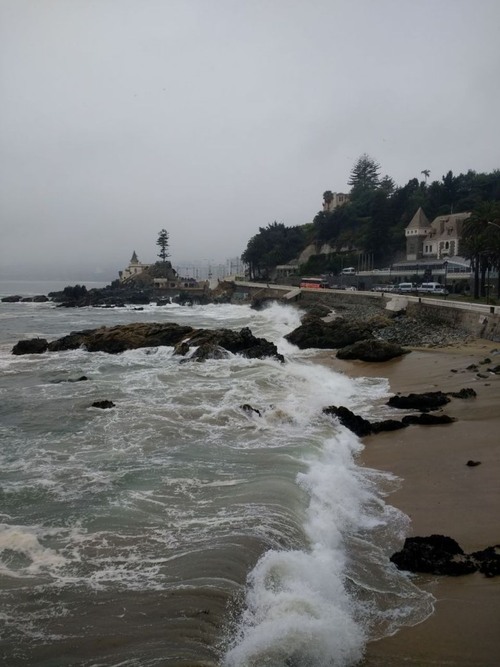 Castillo Wulff - Aus Costanera, Chile