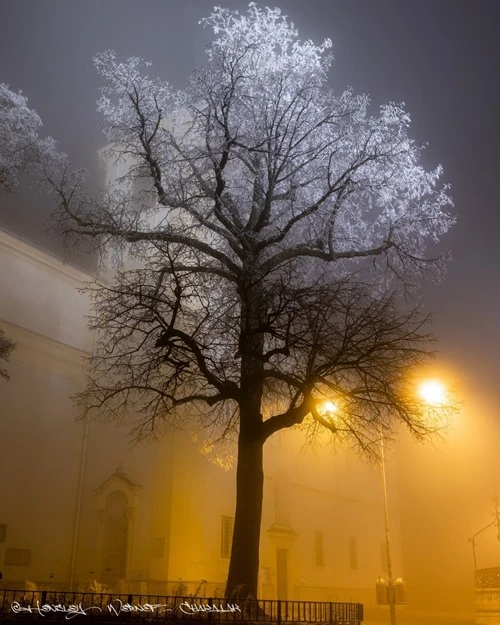 St. Joseph on Kahlenberg - Austria