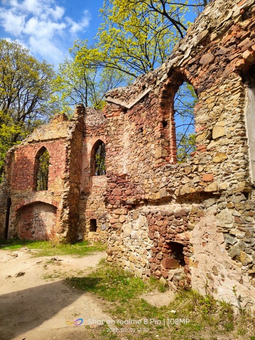Ruiny Zamku Stary Książ - Poland