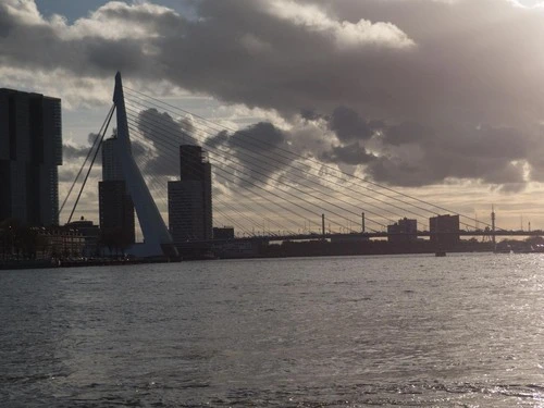 Erasmusbrug - From Riverside, Netherlands