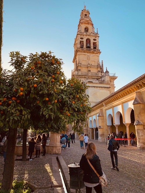Patio de los Naranjos - Spain