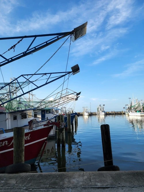 Shrimp boats - From The Hard Rock Docks, United States