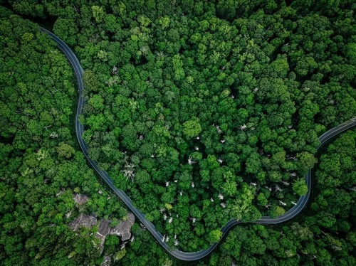 Winding Mountain Road - Desde Drone, United States