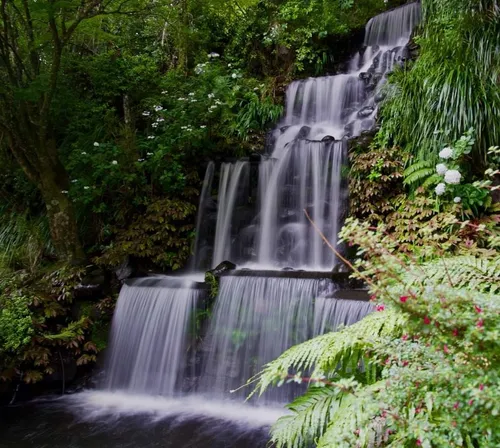 Pukekura Falls - New Zealand