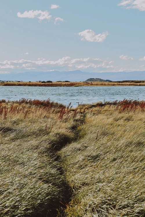 Laguna Nimez - से Trekking path, Argentina