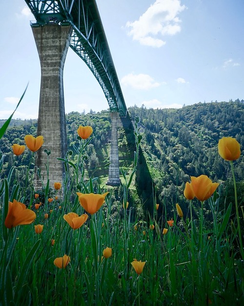 Firesthill Bridge - Des de Below, United States