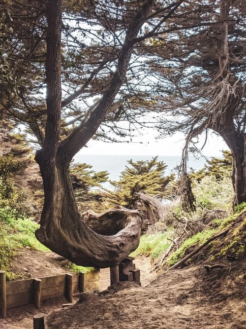 Lands End Trail - United States