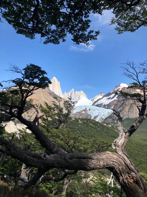 Glaciar Piedras Blancas - From Camino del Mirador, Argentina