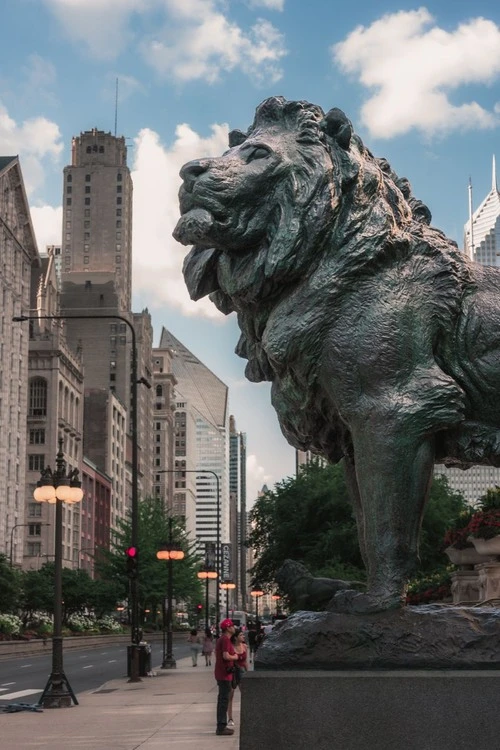 The Art Institute of Chicago Lions - Aus South of the Lions looking north, United States