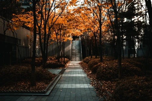 City Stairs - South Korea