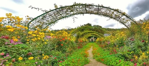 Jardin d'eau - Aus Maison de Claude Monet, France