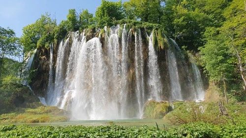 Malí prštavac - Croatia