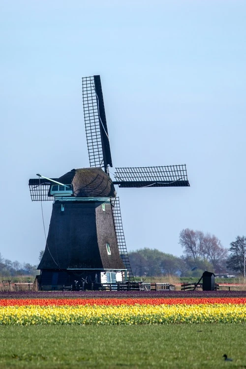 Windmill - From Korte Belkmerweg, Netherlands