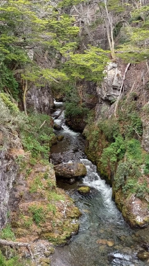 Río Encajonado - Argentina