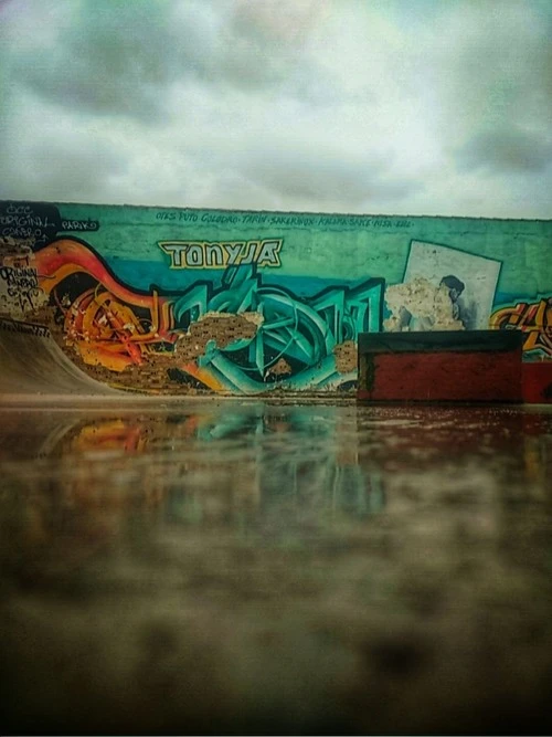 Skatepark Cañero - Spain