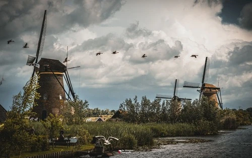 Windmills - Desde Kinderdijk, Netherlands