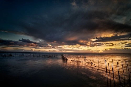 Albufera National Park - Aus Av Los Pinares, Spain