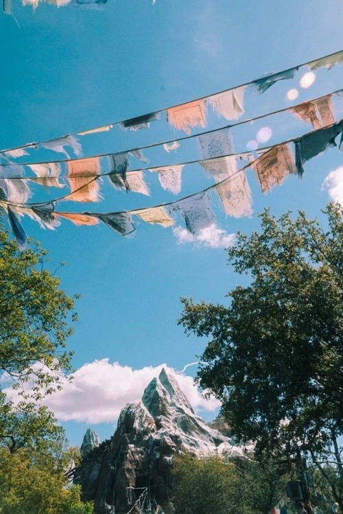 Expedition Everest - Desde Asia Street, United States