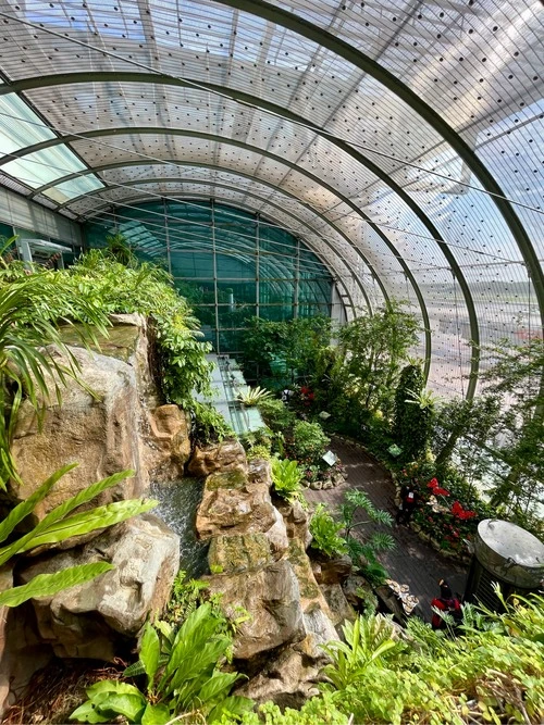 Butterfly Garden - Z Singapore Changi Airport, Singapore