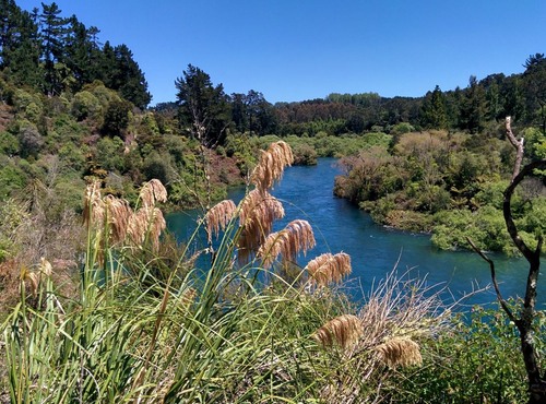 Waikato River - От Huka Falls Tracks, New Zealand