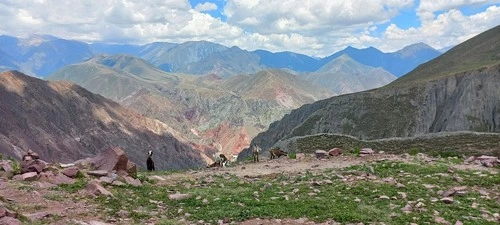 Mirador del Cóndor - Argentina