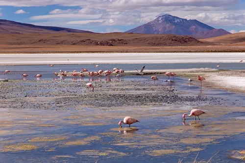 Laguna Canapa - Bolivia