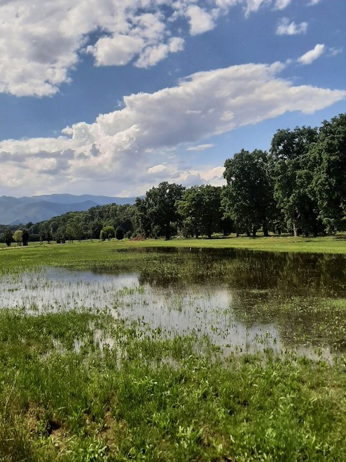 Parco della Mandria - Italy