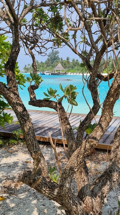 Anlegestelle - From Safari Island, Maldives