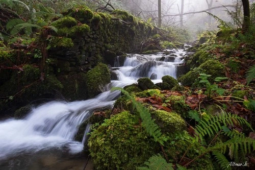 Ruta del Agua, Taramundi - Aus Cascada Arroyo da Salgueira, Spain