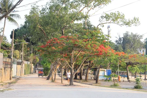 Paquetá - Desde Rua da Moreninha, Brazil