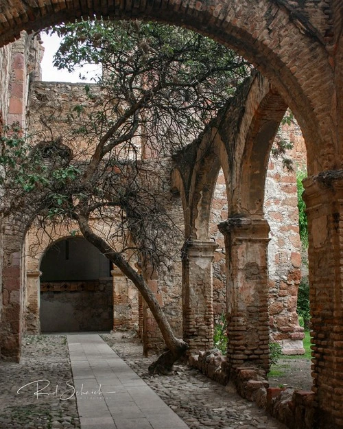 Museo Rafael Coronel - Mexico