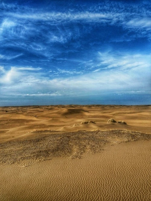 Medanos de Bahía Creek - Argentina