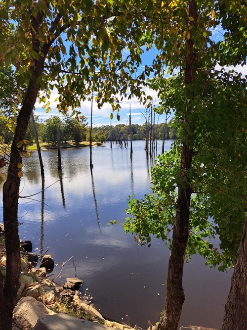Jaskson Island lake - От Lake on south side of road, United States