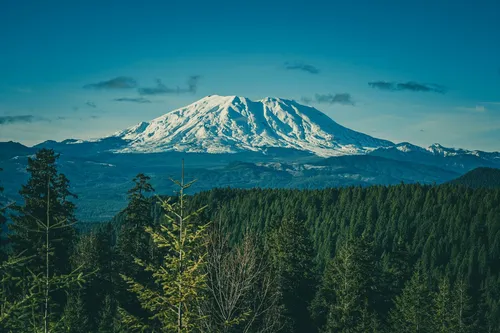 McClellan Viewpoint - United States