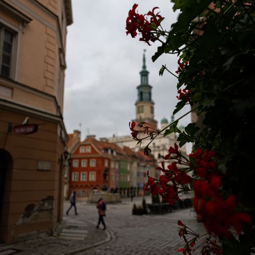 Museum of the History of Poznań - Aus Świętosławska, Poland