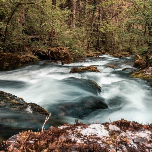 Rivière de l'Allondon - Desde Sources de l'Allondon, France