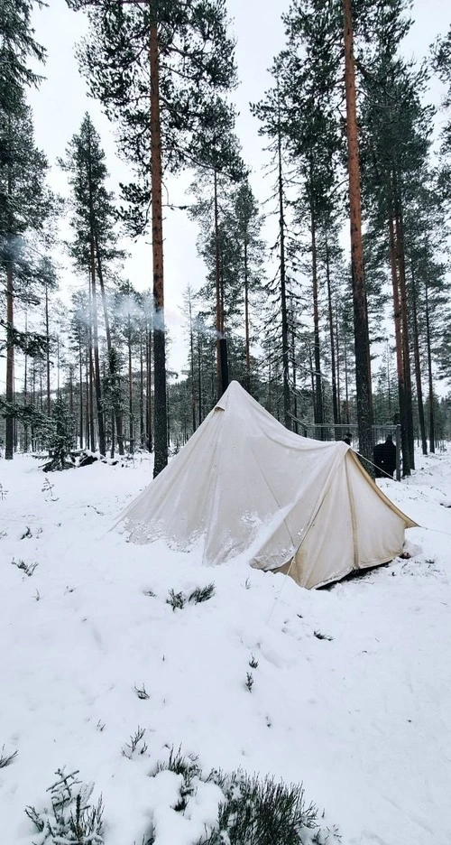 Mansta Forest - Sweden