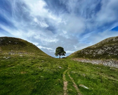 Sycamore Gap - Aus Hiking trail, United Kingdom