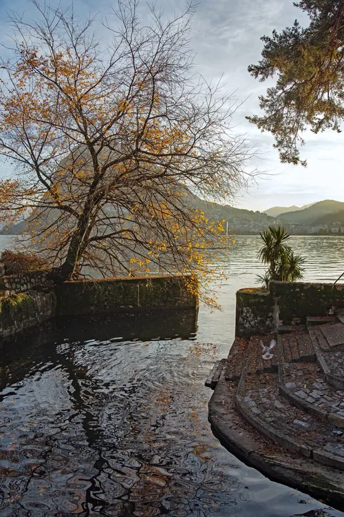 Park 'n' Read - Switzerland