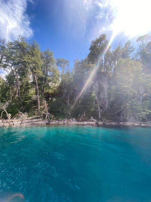 Bosque Sumergido - Frá Boat, Argentina