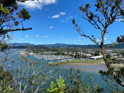 Whitianga Marina - Aus Whitianga Rock, New Zealand