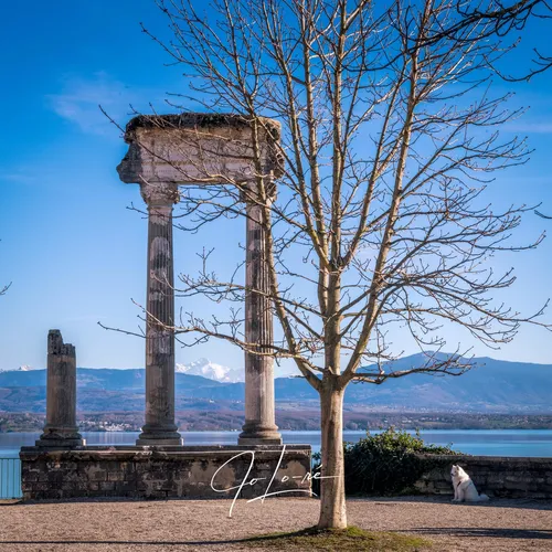 Roman Columns - Switzerland