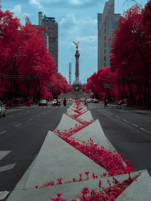 Angel de la Independencia - Desde East of the Angel on reforma, Mexico