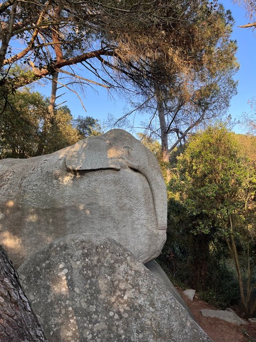 Piedra con forma de elefante - Spain