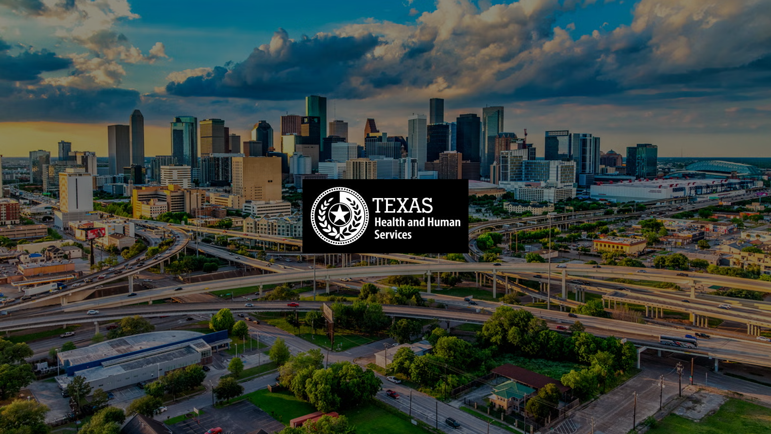 Texas DSHS - Healthy Texas