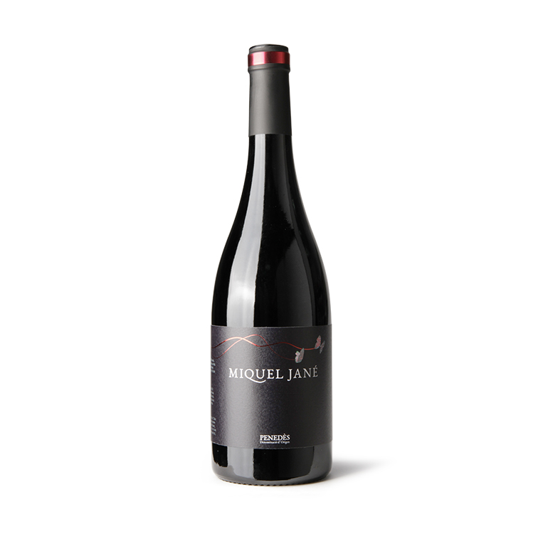 Syrah-Ecologico