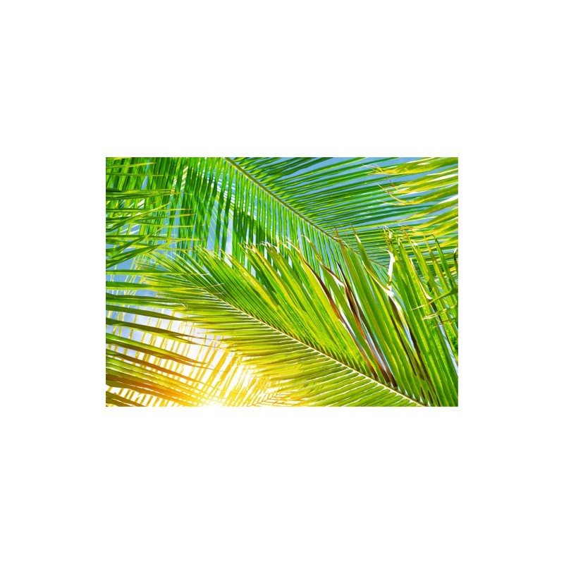 Mantelito-Hawaii-42*30Cm--500U--1Uds-