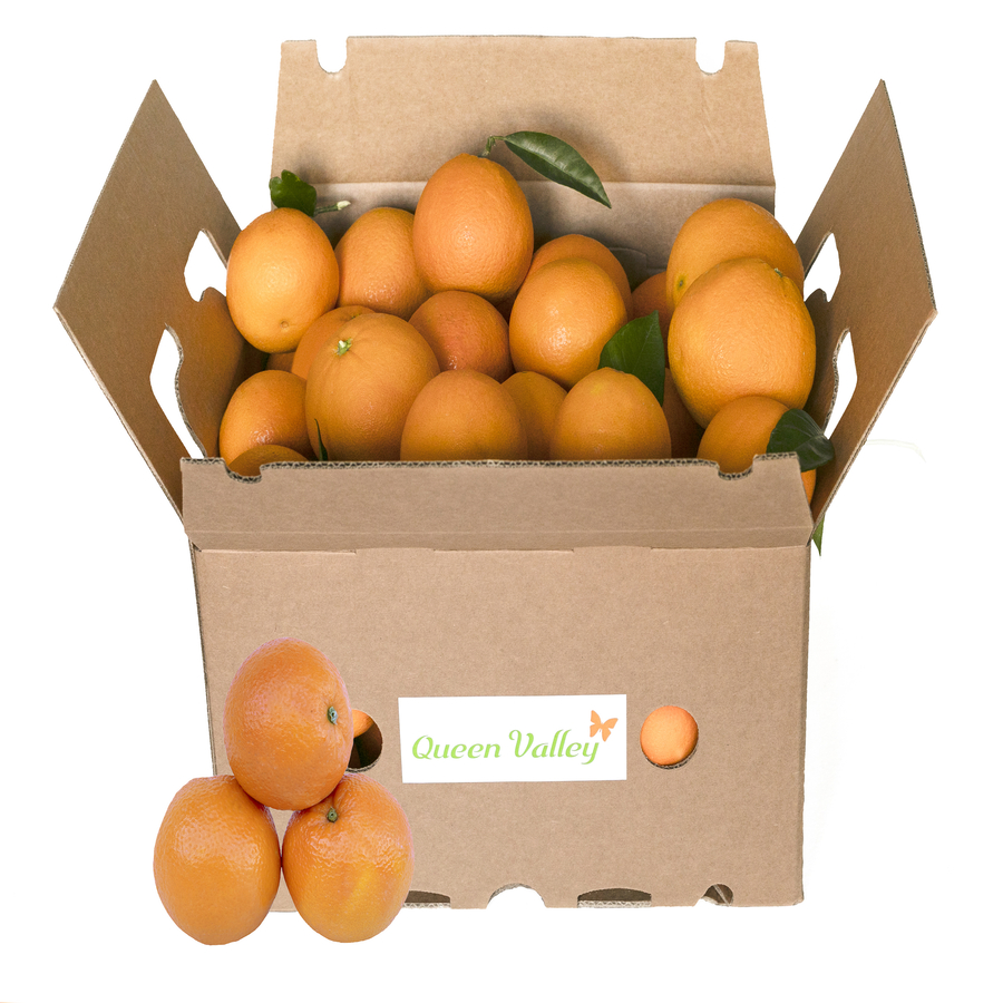 Naranjas-De-Mesa-Navelina-Agricultura-Sostenible-20Kg